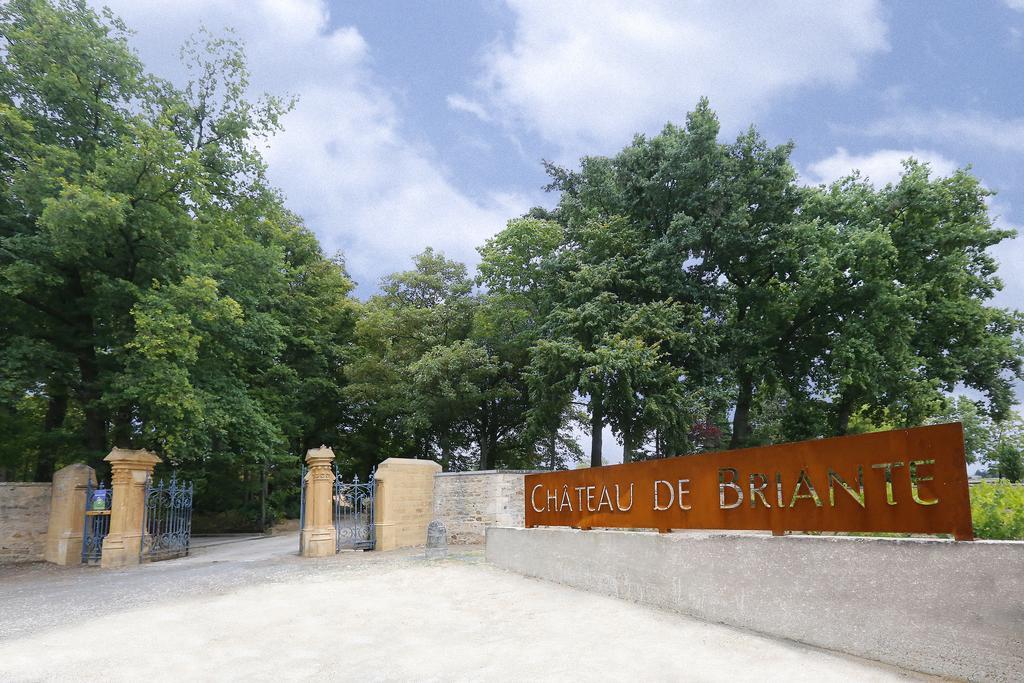 Chateau De Briante Saint-Lager Exterior photo